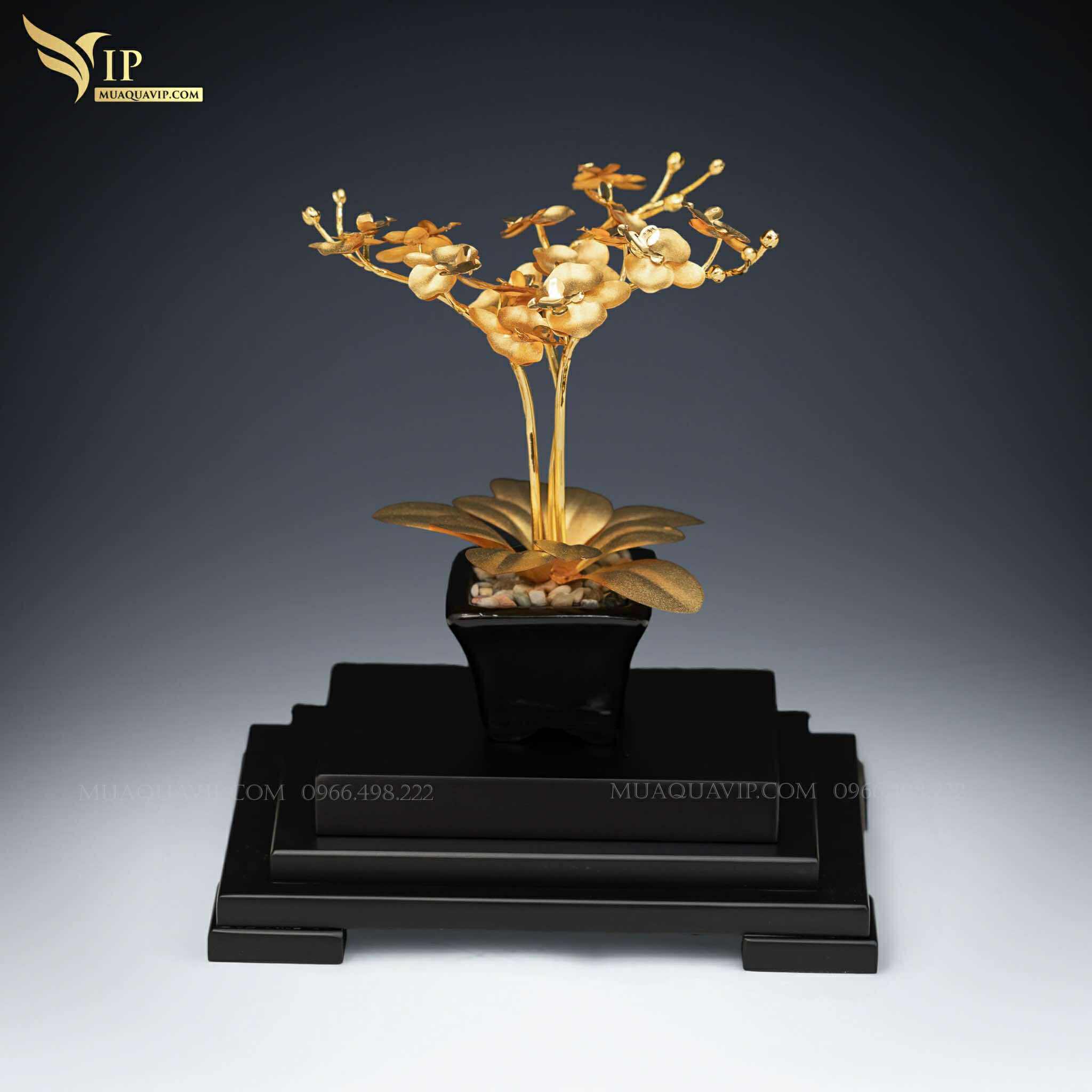 Chậu Hoa Lan Dát Vàng 24K – Quà Tặng Phong Thủy | Phượng Vũ Gold
